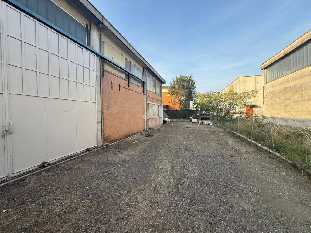 immagine annuncio 7 di 8