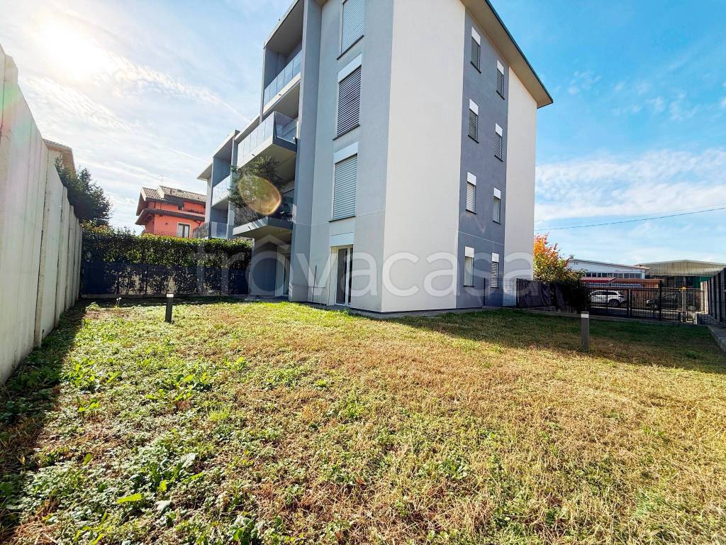 immagine annuncio 11 di 15