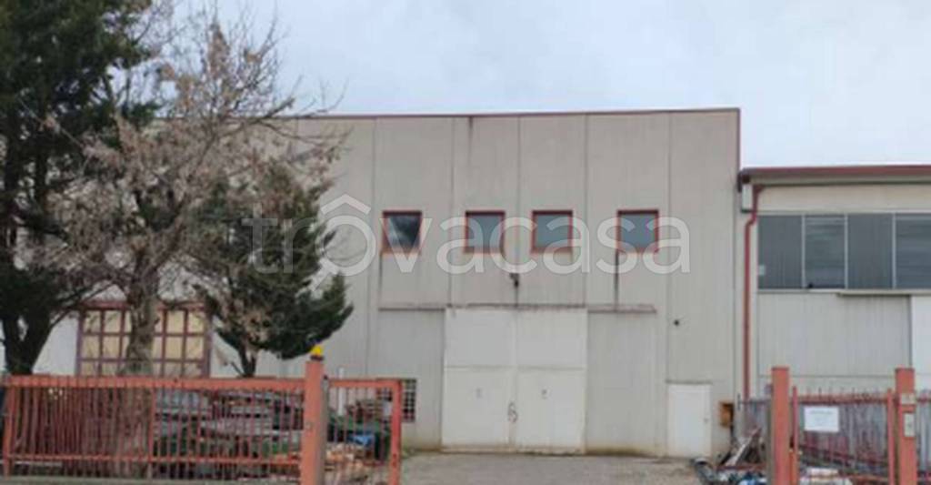 immagine annuncio 4 di 8