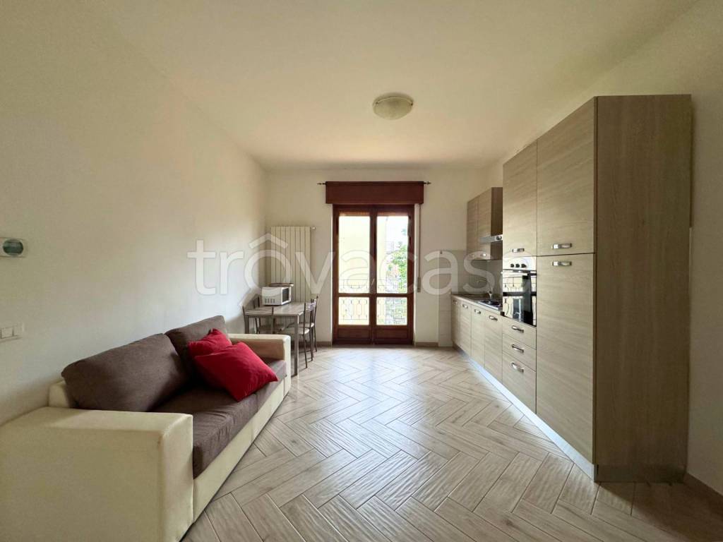 immagine annuncio 1 di 13