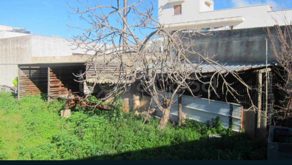 immagine annuncio 8 di 11