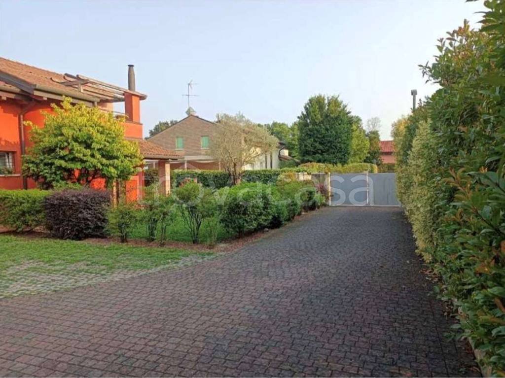 immagine annuncio 5 di 15