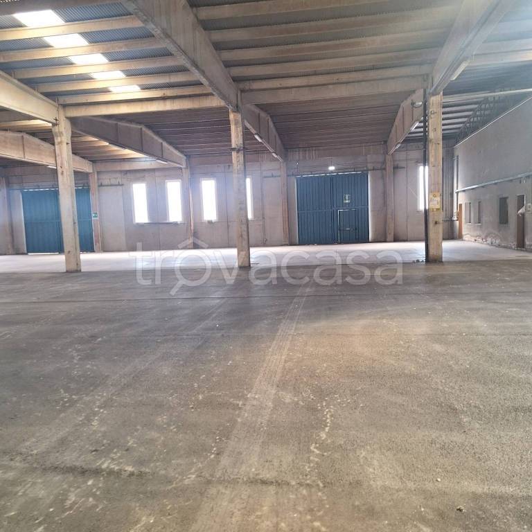 immagine annuncio 2 di 7