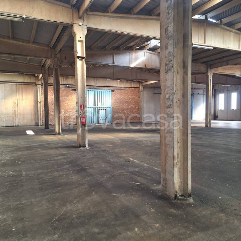 immagine annuncio 3 di 7