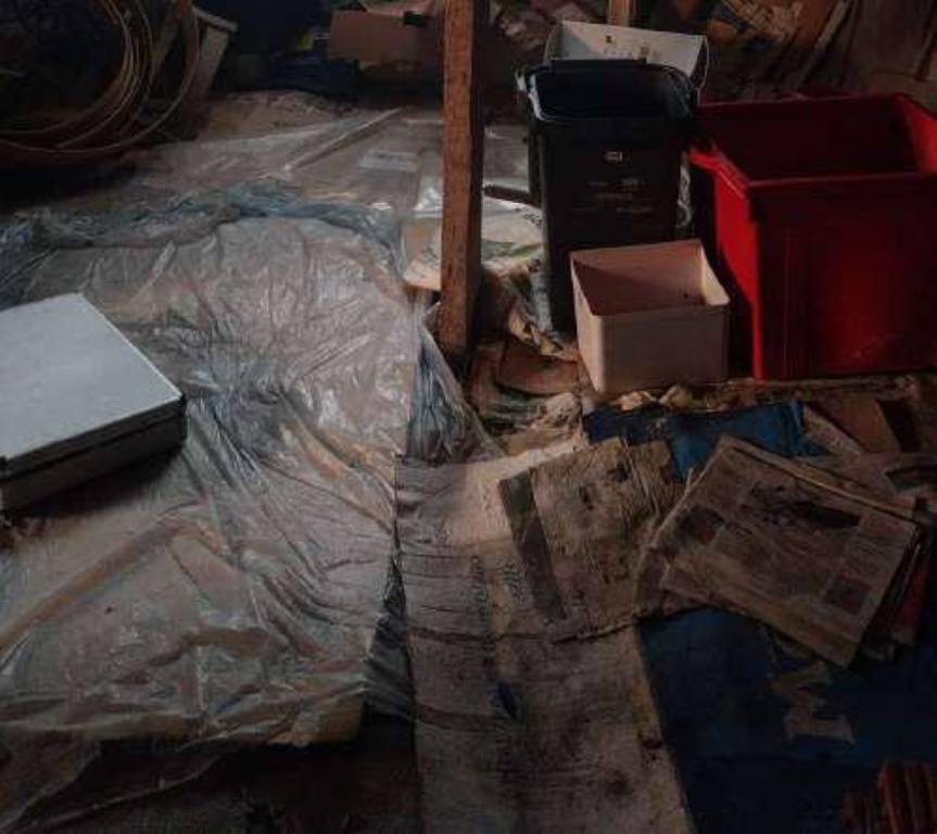 immagine annuncio 3 di 12