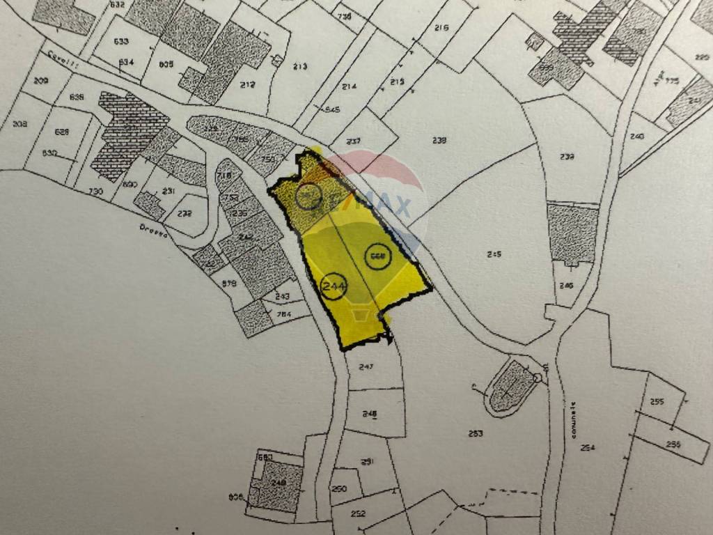 immagine annuncio 3 di 8