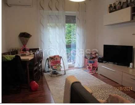 immagine annuncio 1 di 8