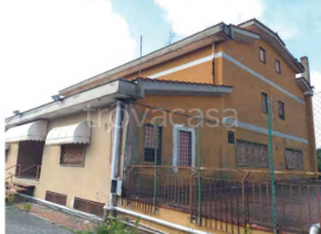 immagine annuncio 3 di 11