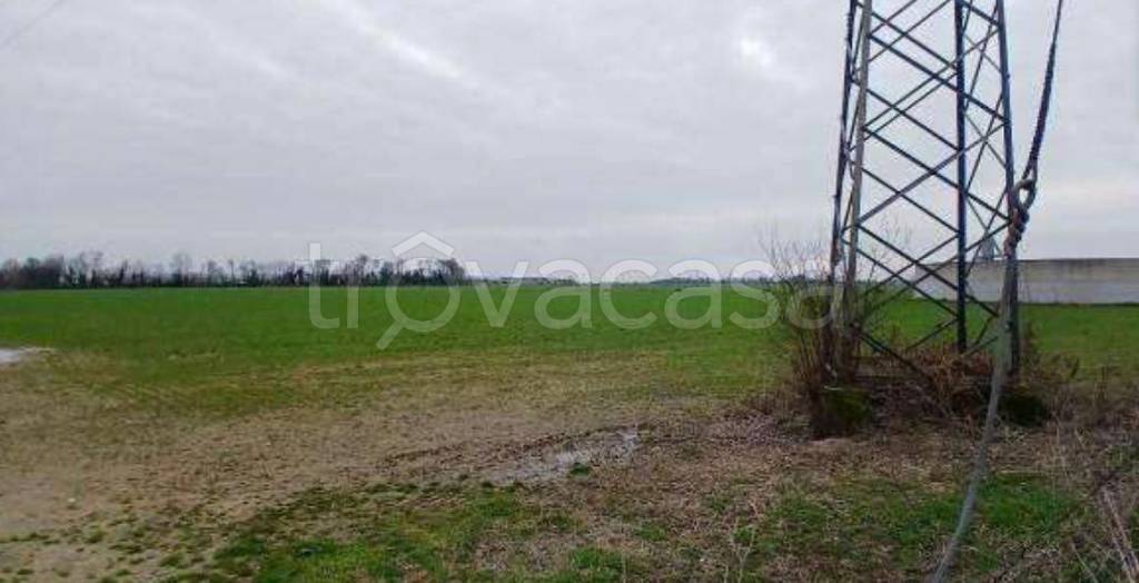 immagine annuncio 2 di 8