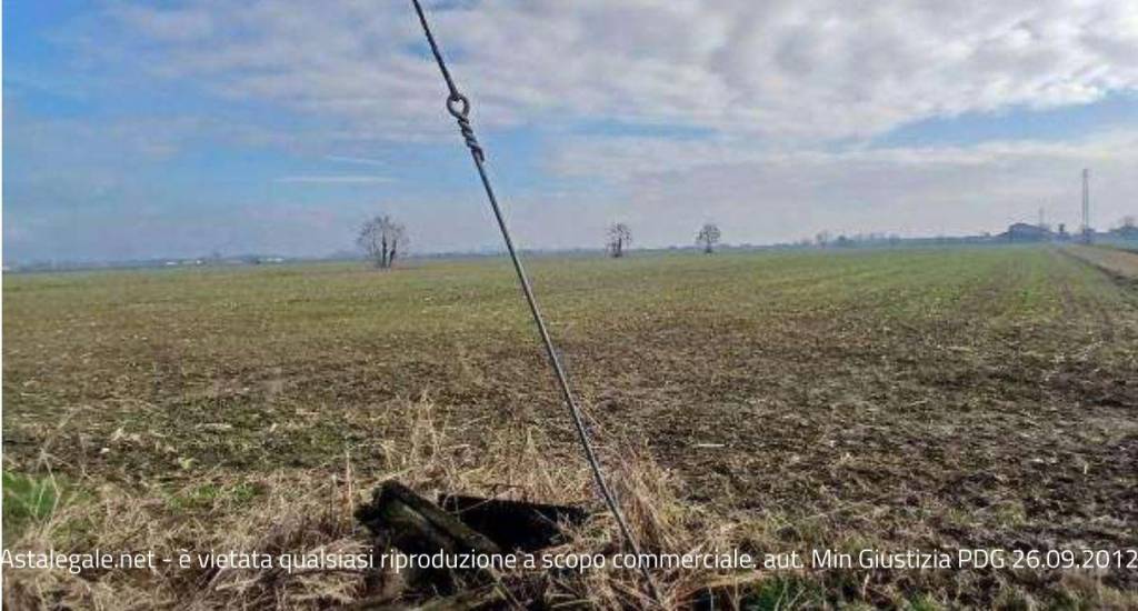 immagine annuncio 1 di 8