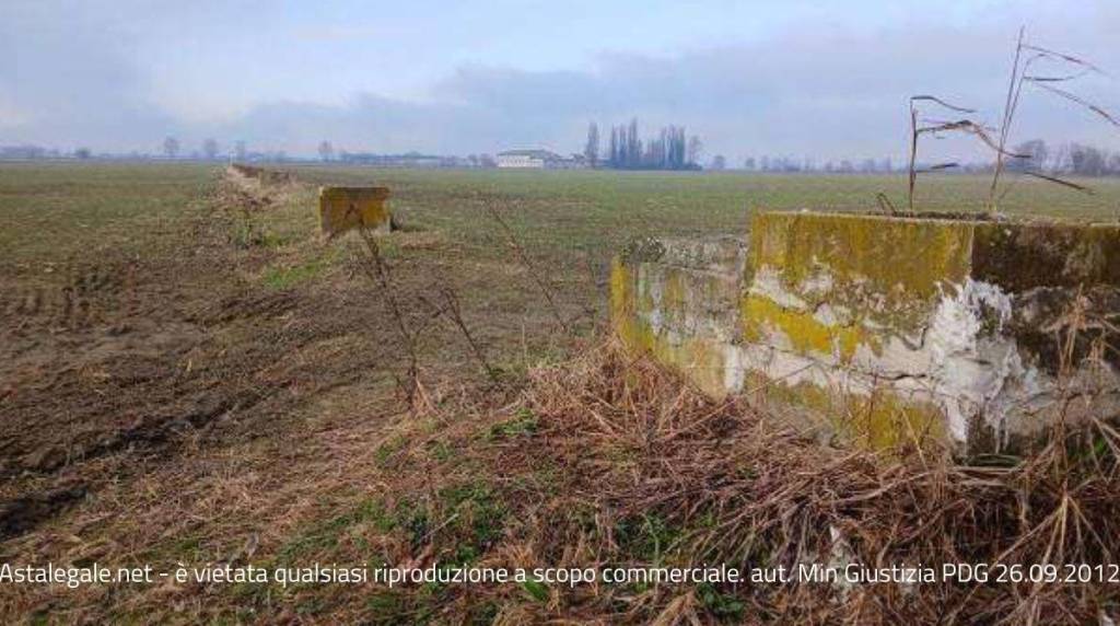 immagine annuncio 1 di 9