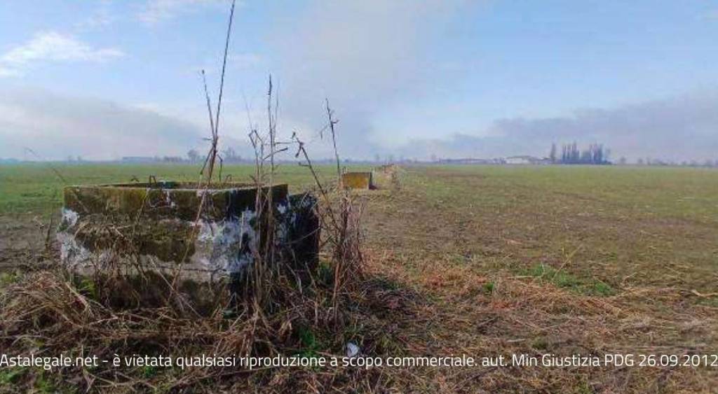 immagine annuncio 3 di 9