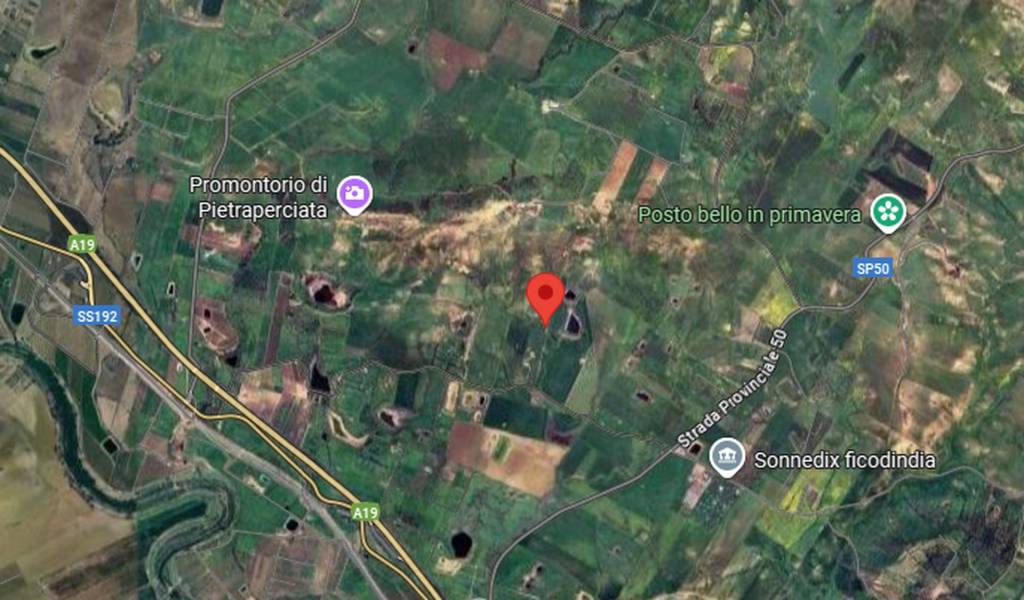 immagine annuncio 6 di 14