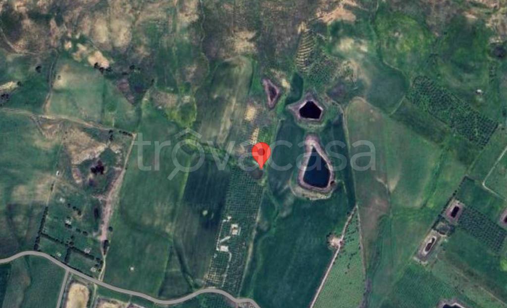 immagine annuncio 8 di 14