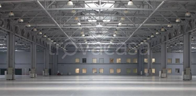 immagine annuncio 8 di 12