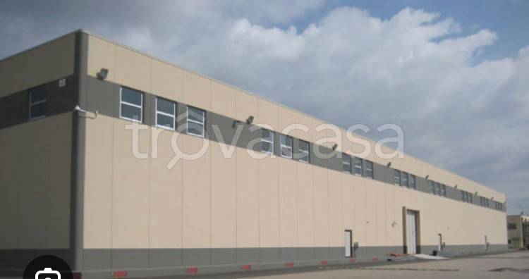 immagine annuncio 9 di 12