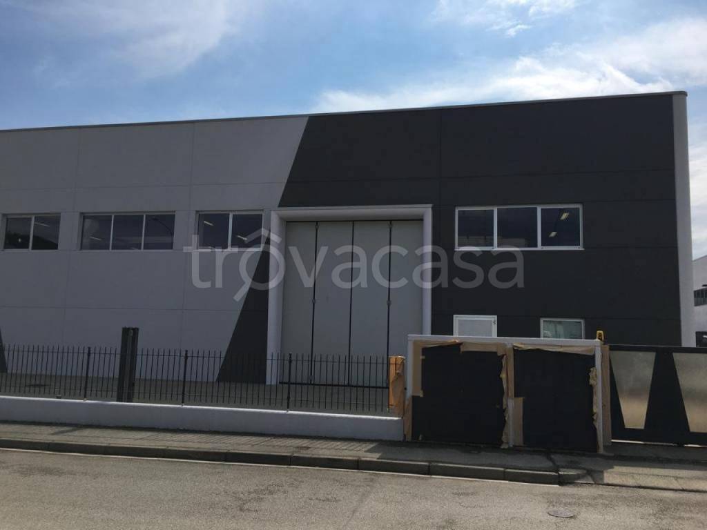 immagine annuncio 11 di 12