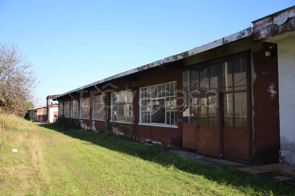 immagine annuncio 9 di 15