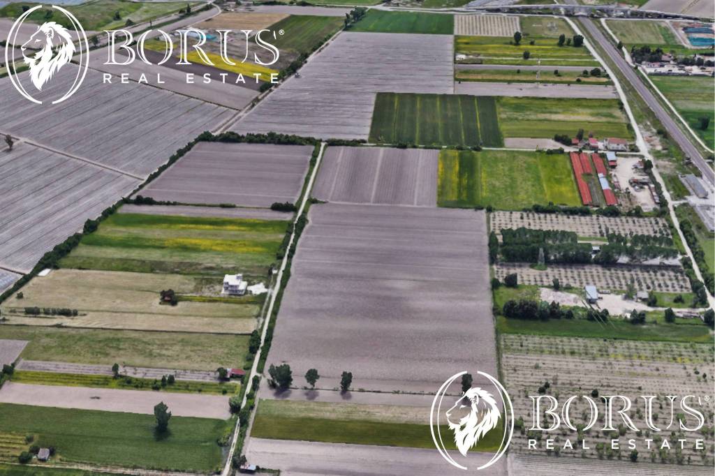 immagine annuncio 3 di 8