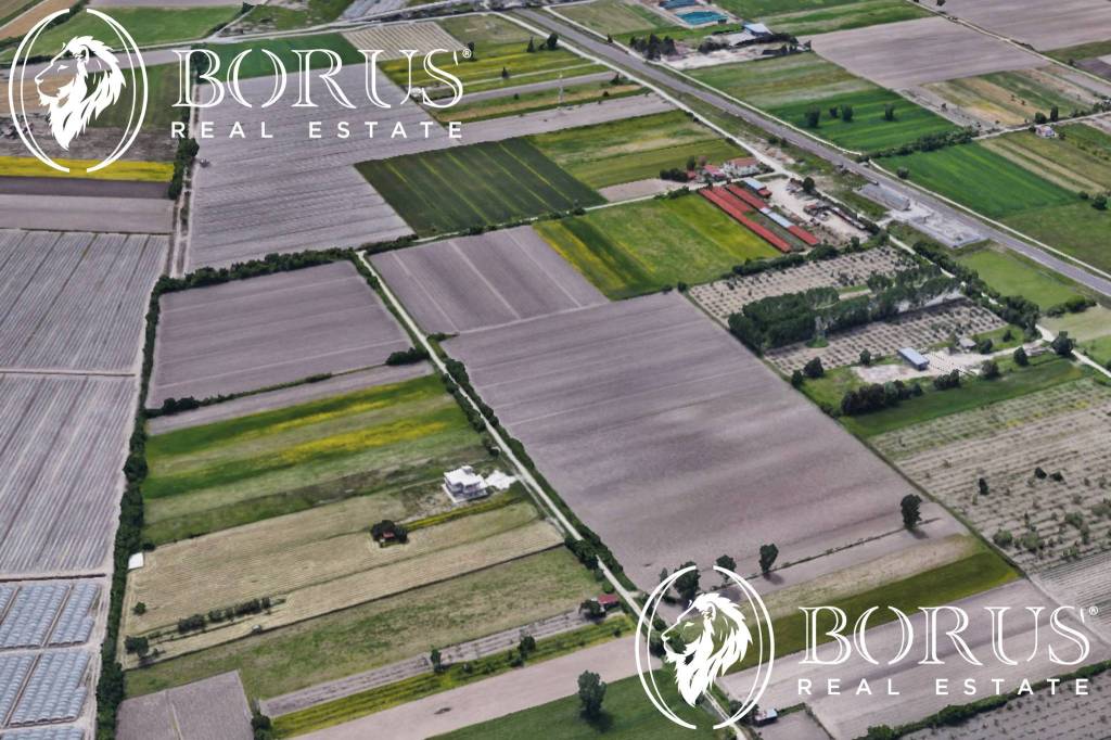 immagine annuncio 4 di 8