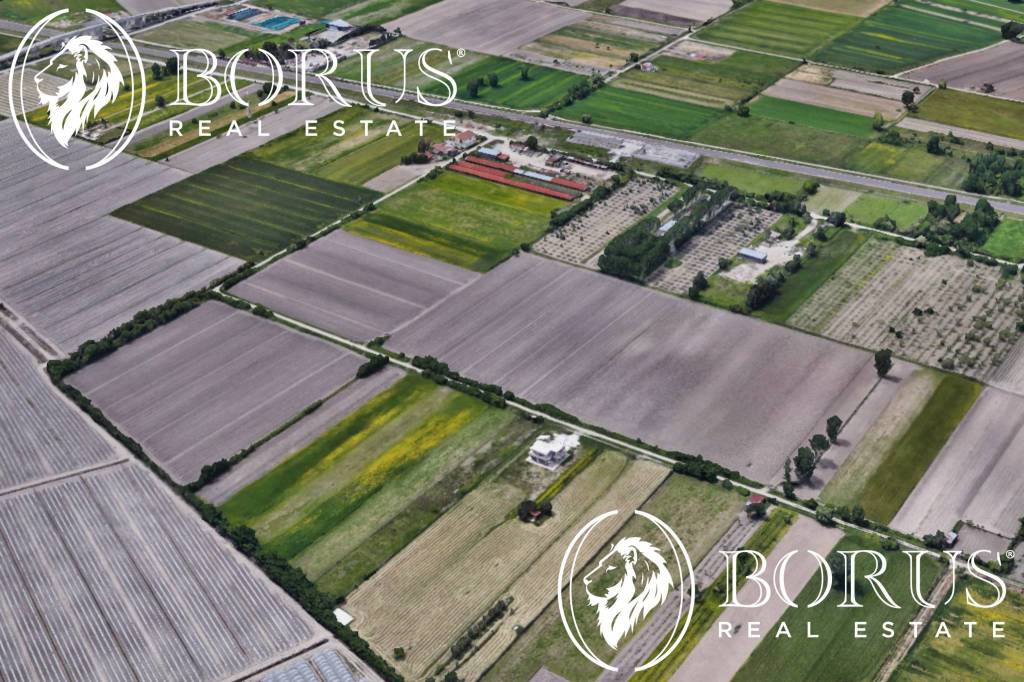 immagine annuncio 5 di 8