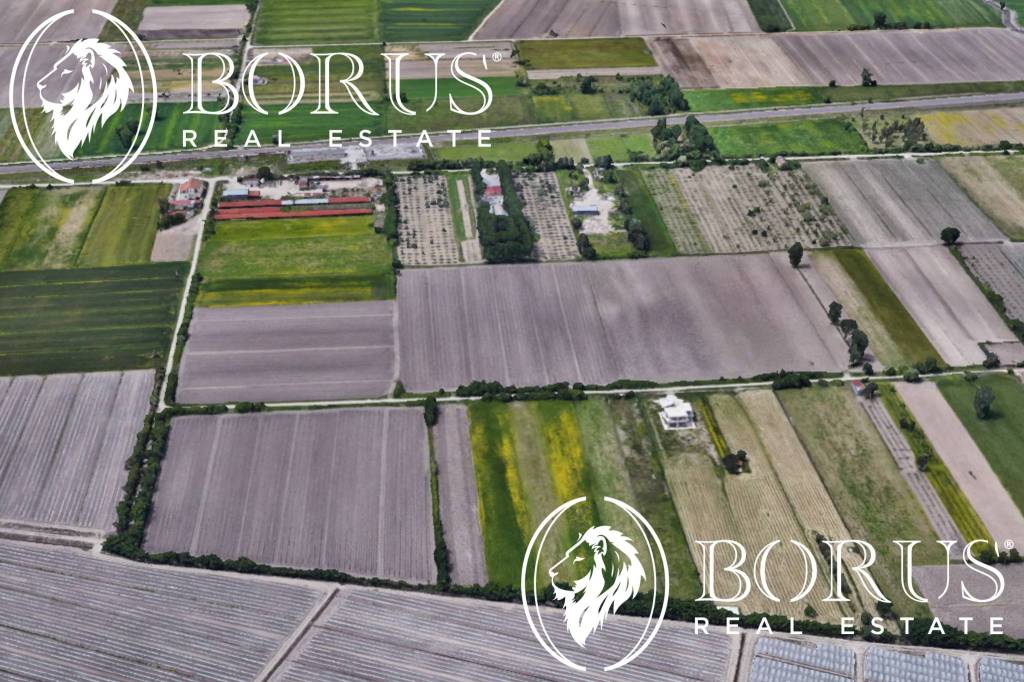 immagine annuncio 6 di 8