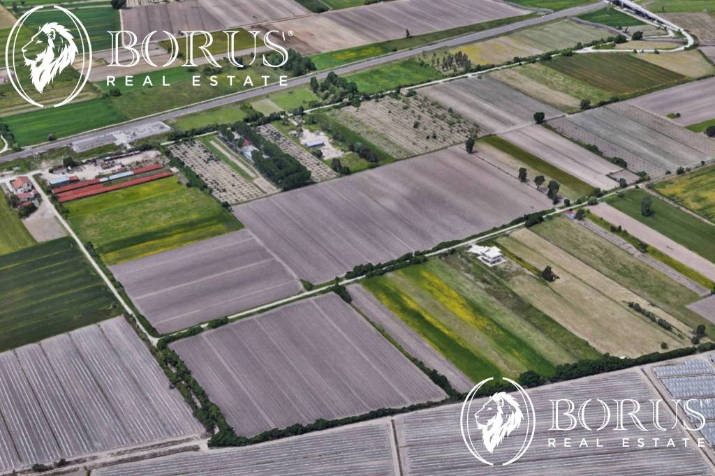 immagine annuncio 7 di 8