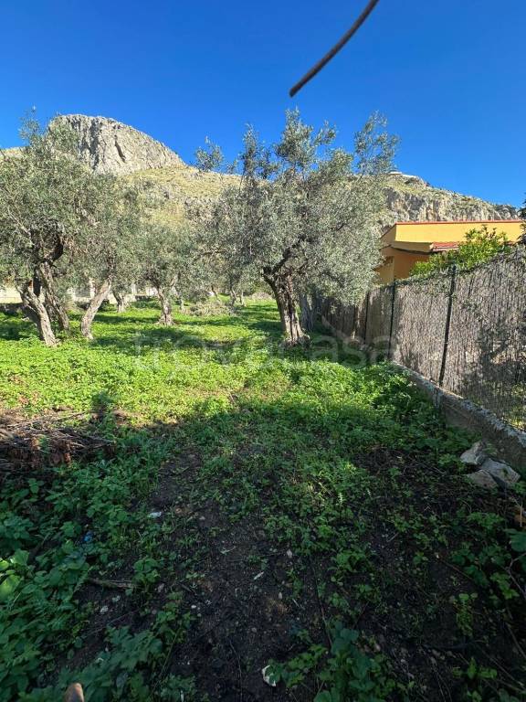 immagine annuncio 3 di 9