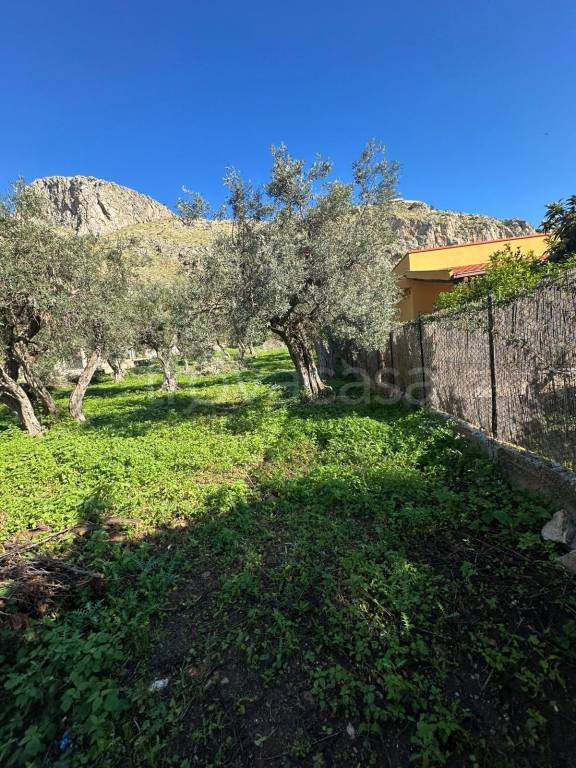 immagine annuncio 4 di 9