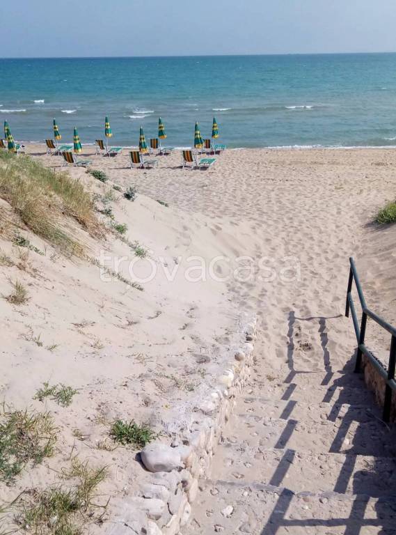 immagine annuncio 6 di 11