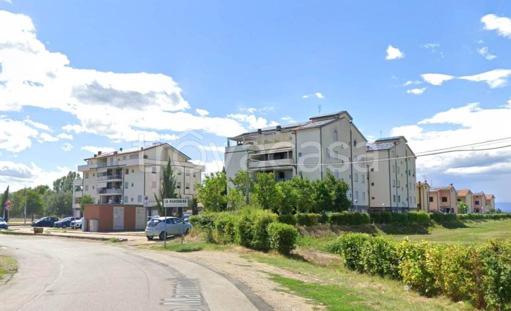 immagine annuncio 5 di 15