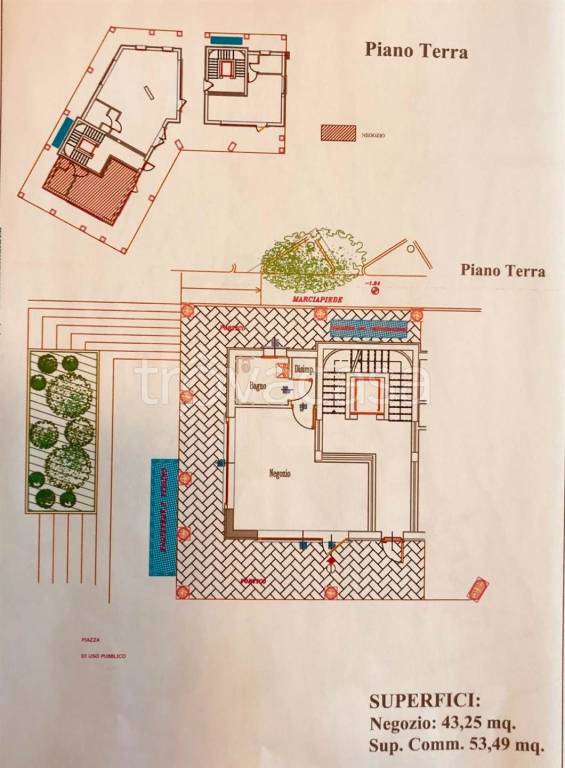 immagine annuncio 1 di 2