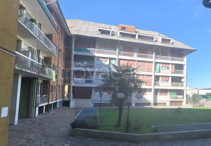 immagine annuncio 3 di 11