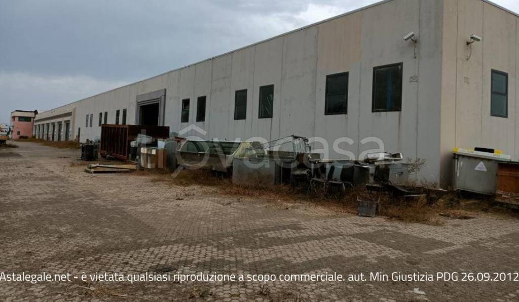 immagine annuncio 2 di 6