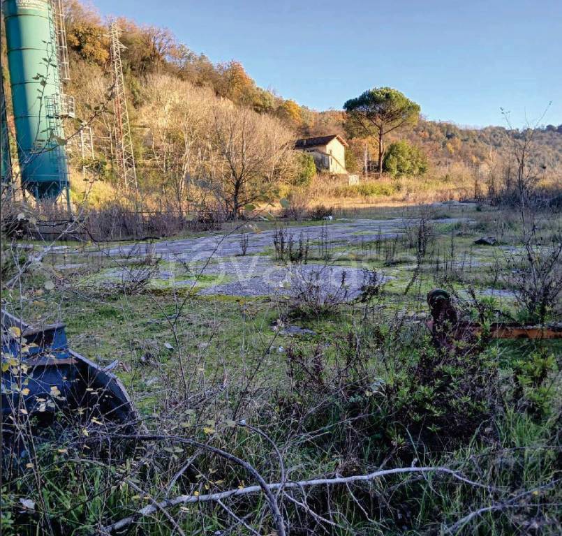 immagine annuncio 2 di 7