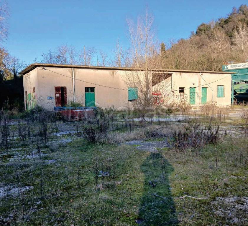 immagine annuncio 5 di 7