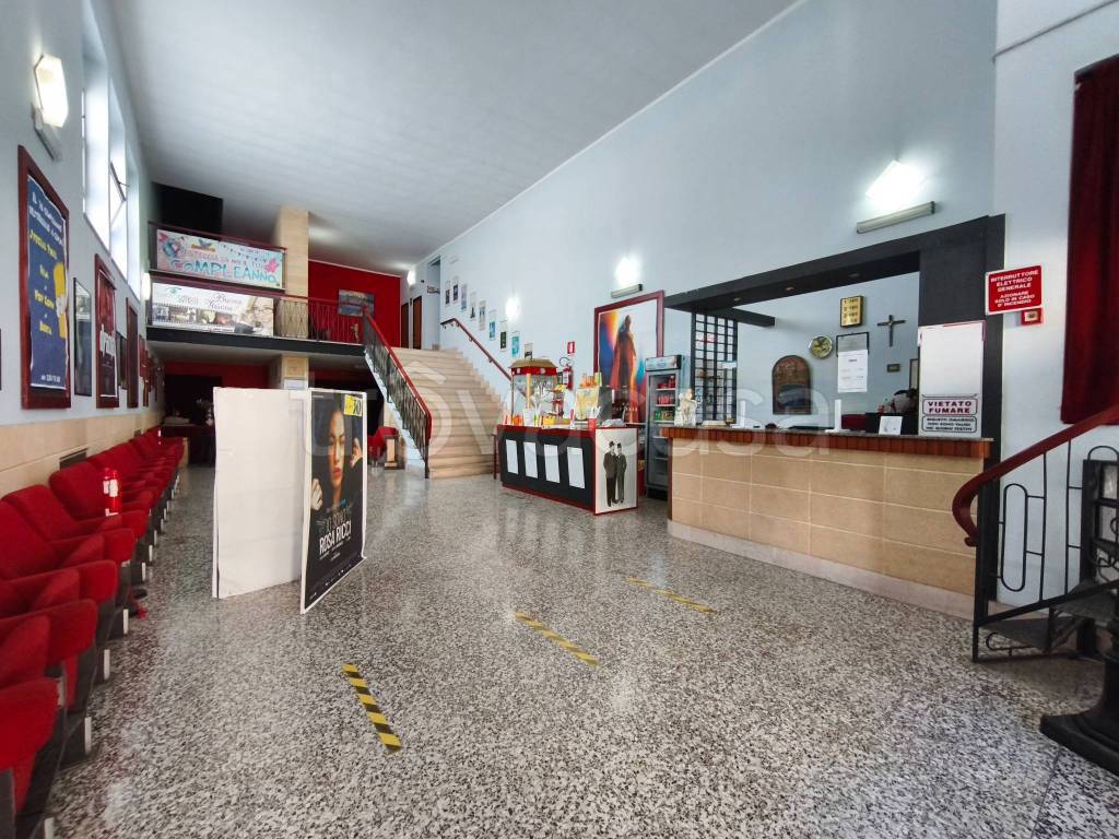 immagine annuncio 5 di 15