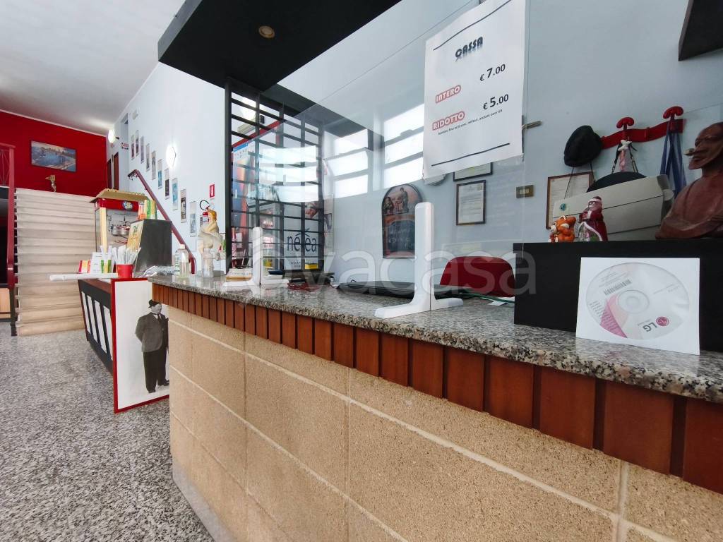 immagine annuncio 7 di 15