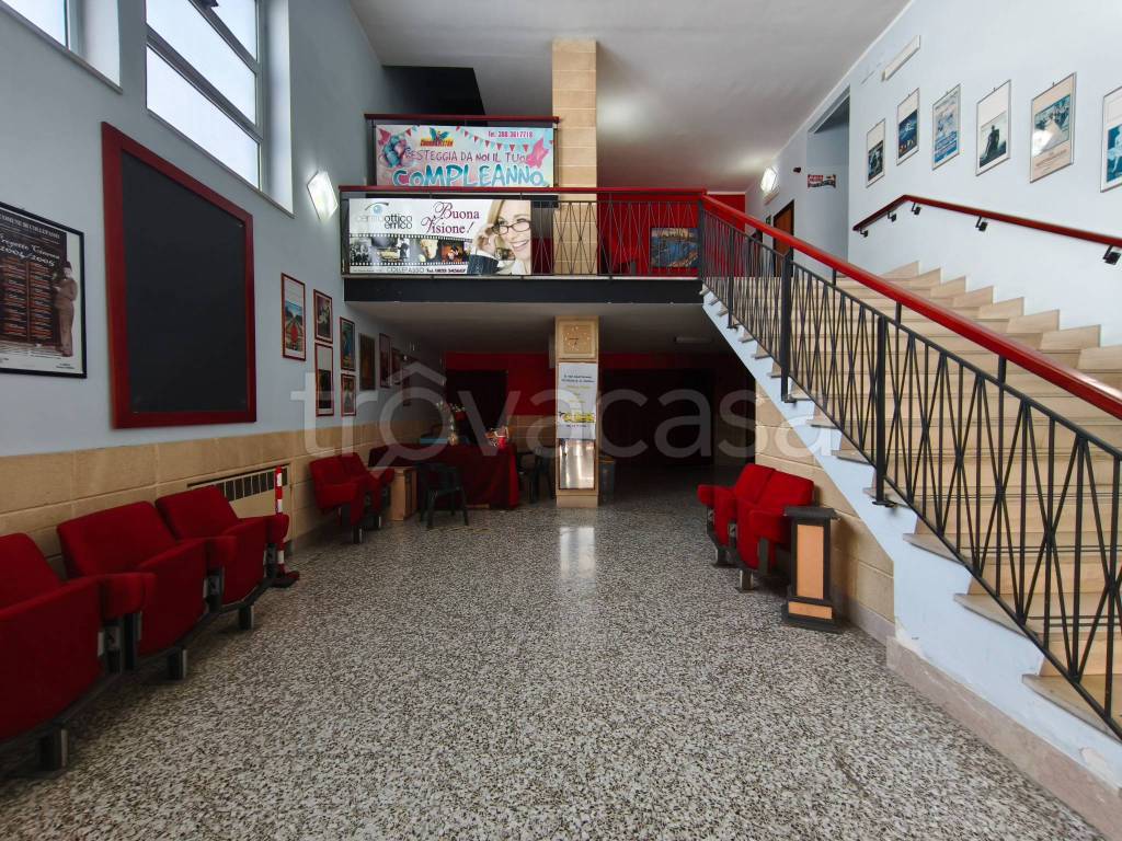 immagine annuncio 11 di 15