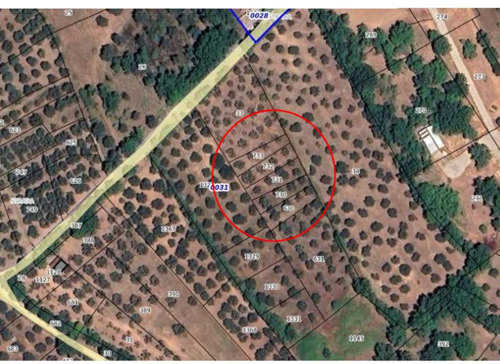 immagine annuncio 7 di 11