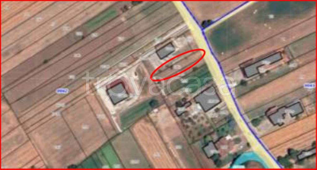 immagine annuncio 9 di 12