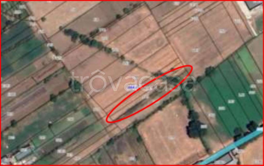 immagine annuncio 10 di 12