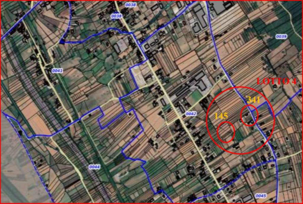 immagine annuncio 11 di 12