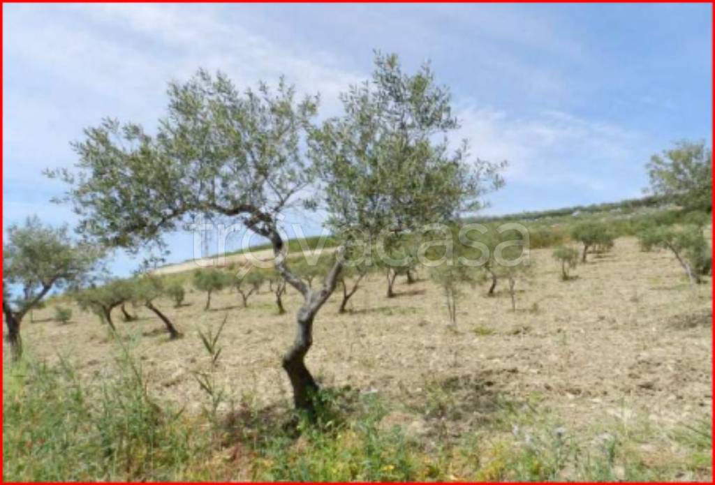 immagine annuncio 6 di 12