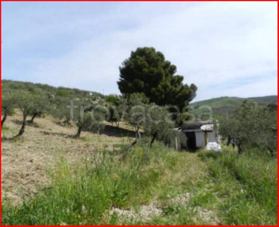 immagine annuncio 8 di 12