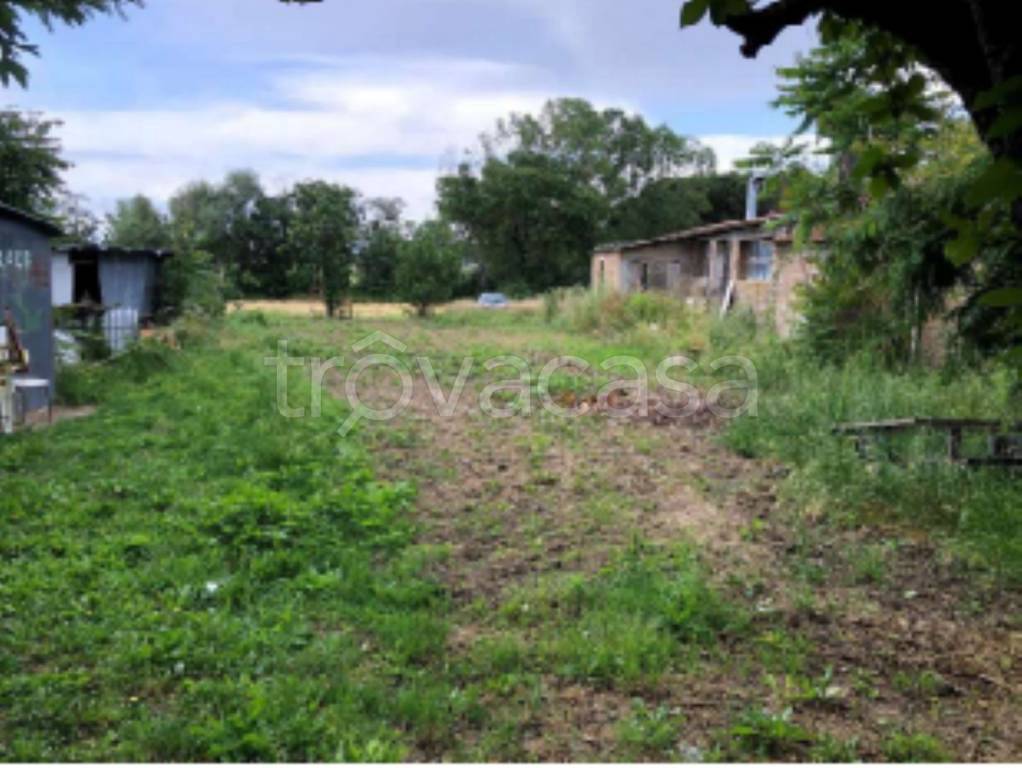 immagine annuncio 10 di 12