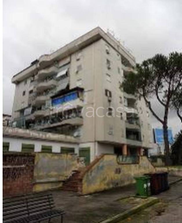 immagine annuncio 7 di 11