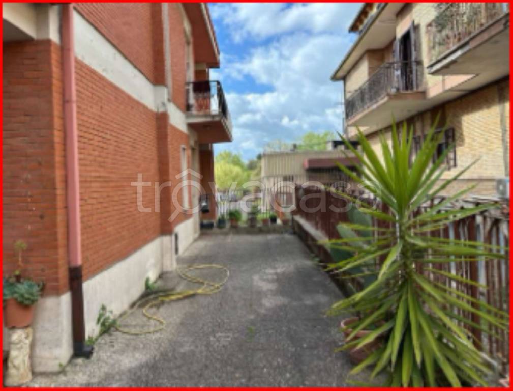 immagine annuncio 2 di 12