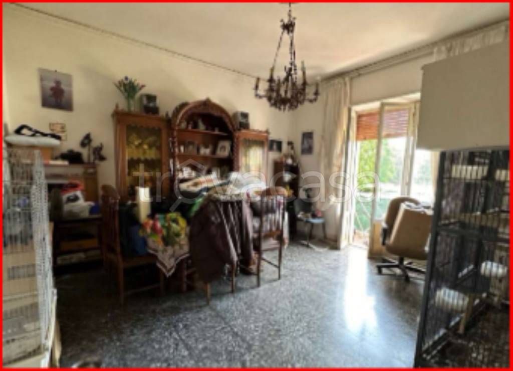 immagine annuncio 6 di 12