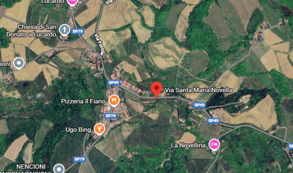 immagine annuncio 11 di 13